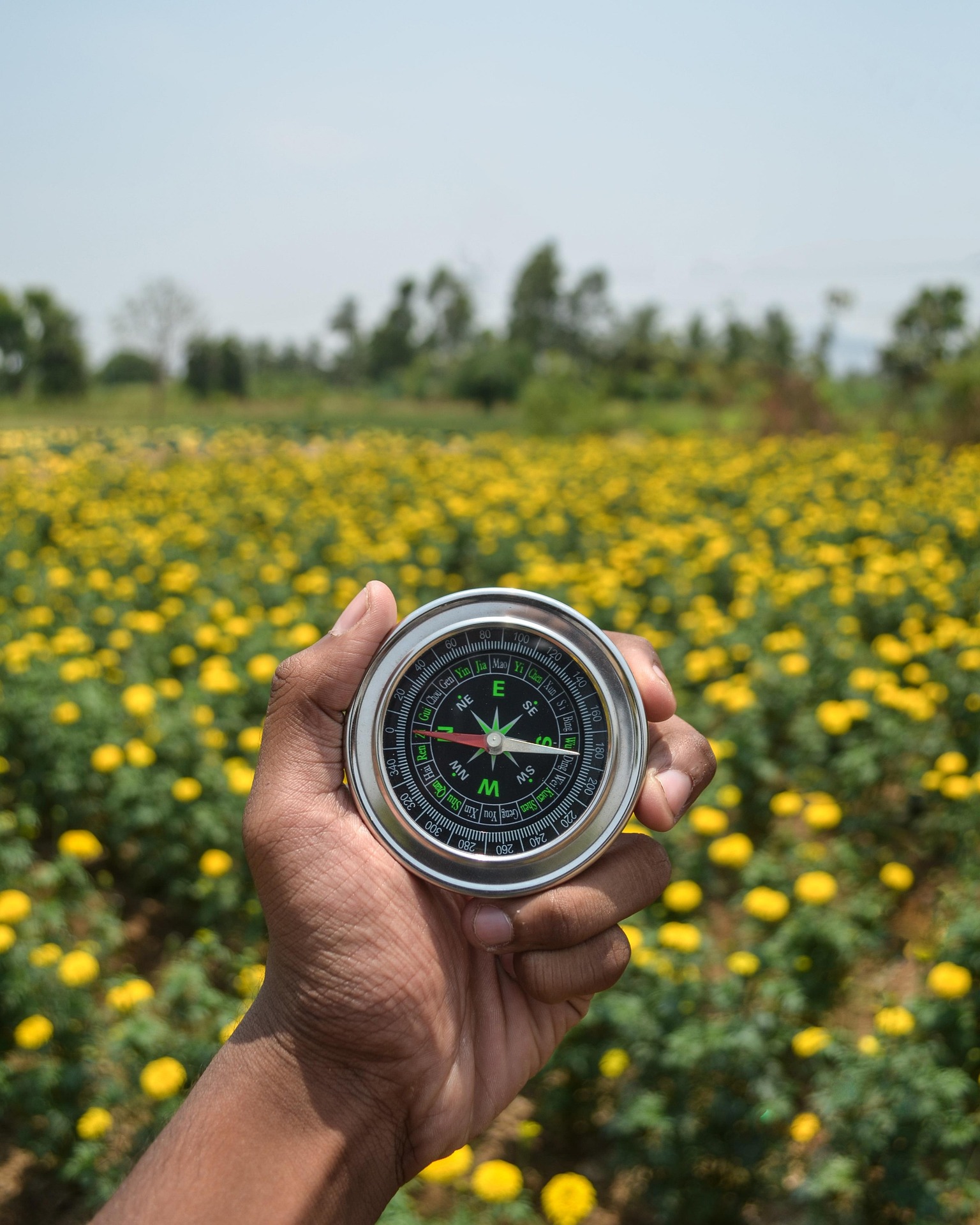 diwatrance_shot-compass-3613077_1920-pixabay